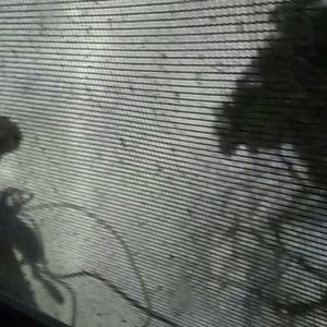 Meet your Posher, Noel